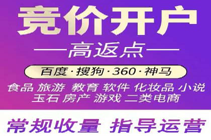 网络推广秘籍：竞价排名成功案例集锦