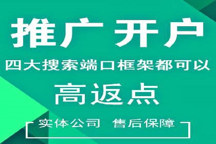 百度广告推广投入与回报的惊人案例